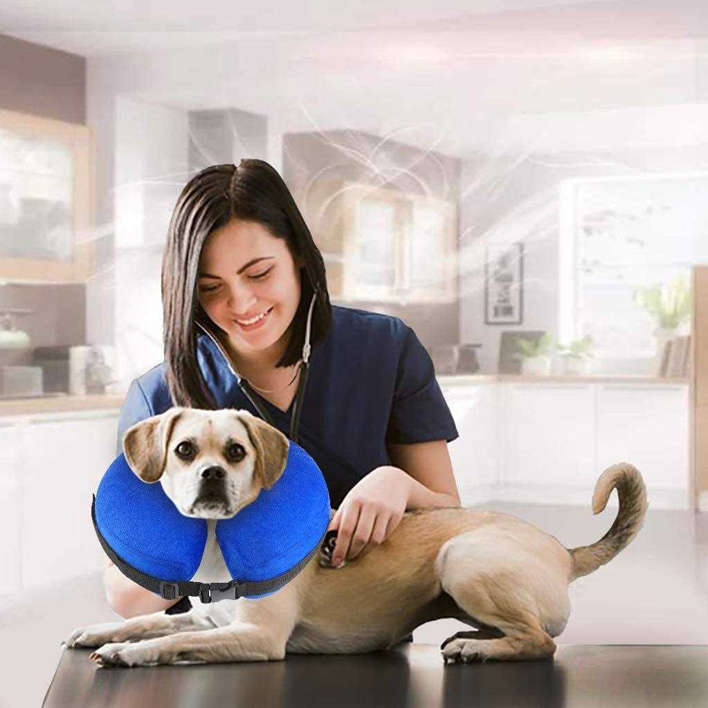 Protective Inflatable Cone Collar for Dogs and Cats W107151