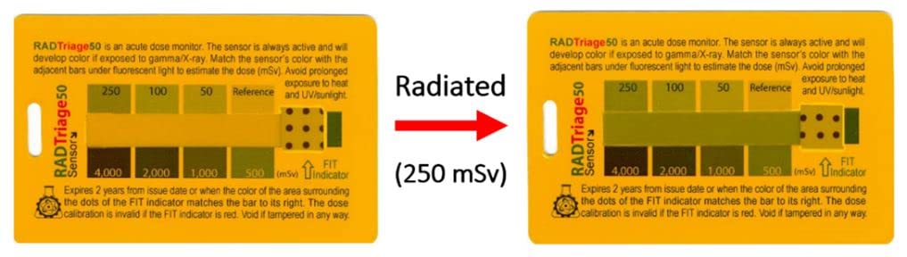 50 Personal Radiation Detector P495