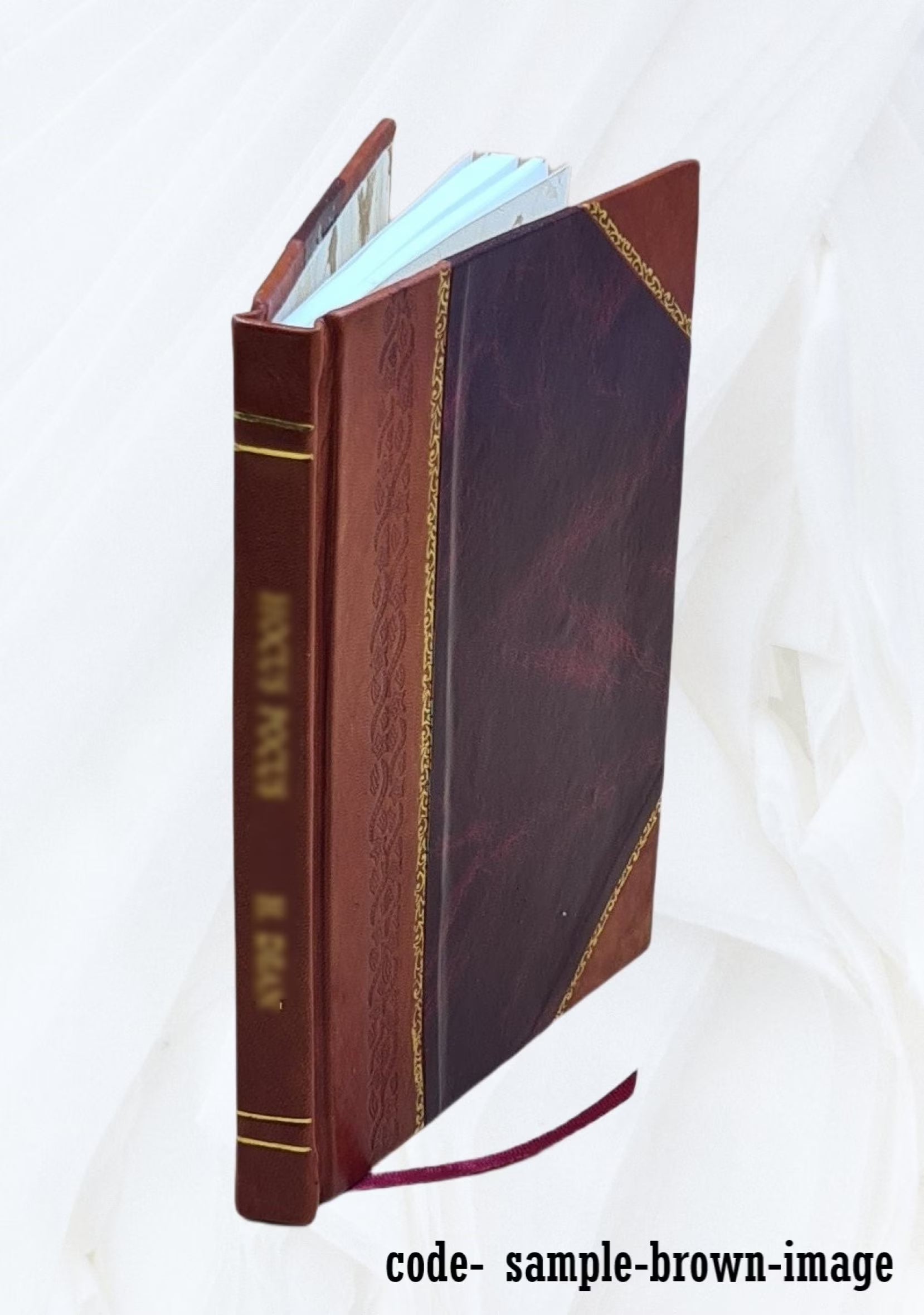 Mathematical essays and recreations L1457