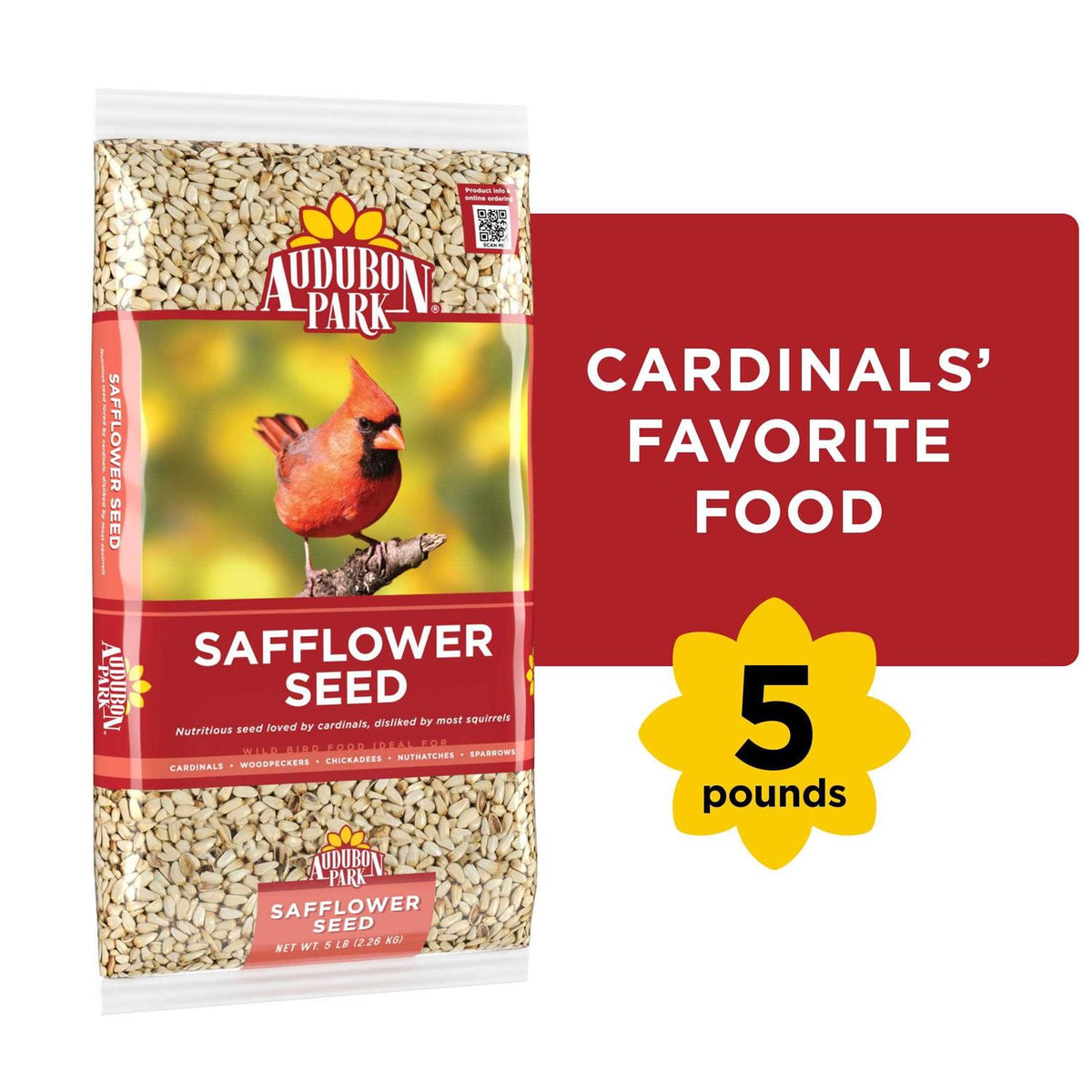 Safflower Seed Wild Bird Food L100