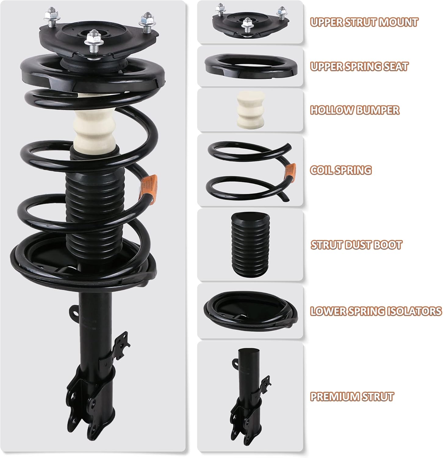 Rear Pair Complete Strut Assembly for 1992-1996 Toyota Camry E8801