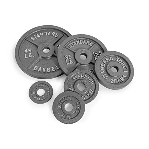 Gray Olympic Weight Plates L2256