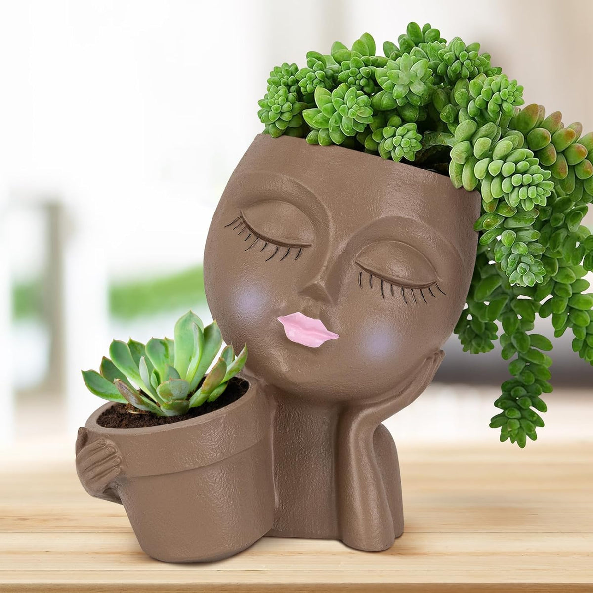 Brown Resin Face Planter Pot with Drainage Hole H48837