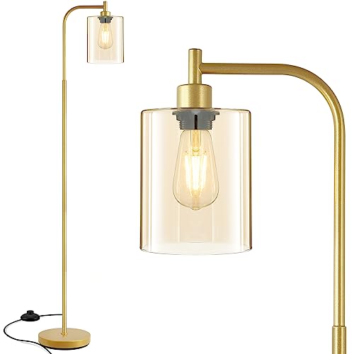 Industrial Floor Lamp with Iron Mesh Glass Lampshade Y9420