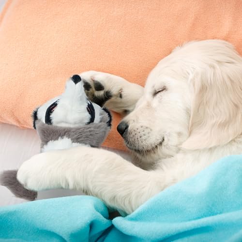 2-in-1 Crinkle Dog Toys, 20.5" Large Size Stuffless Dog Toys A6277