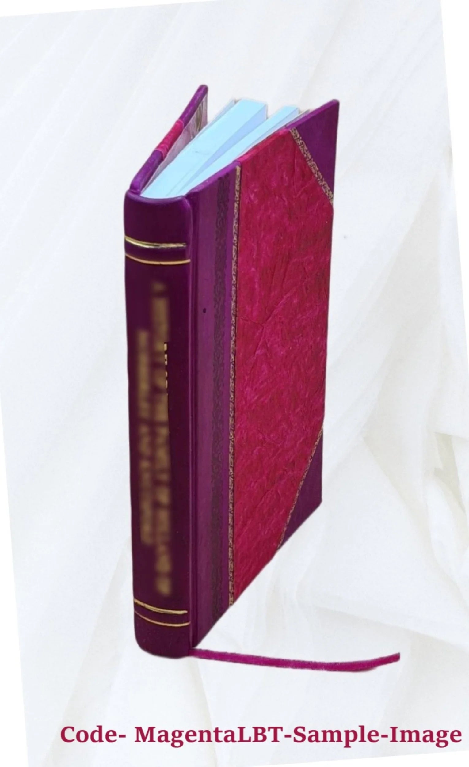 Mathematical essays and recreations L1457