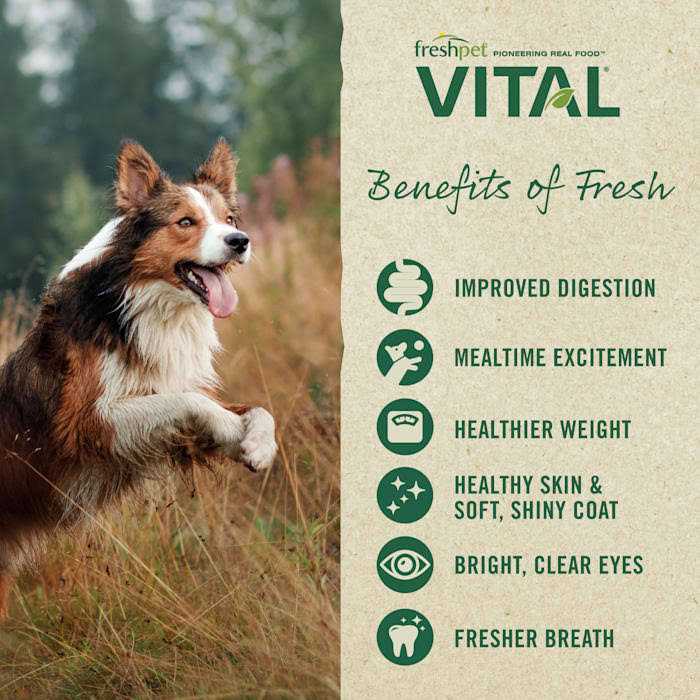 Grain-Free Chicken Fresh Small Breed Dog Food R89290