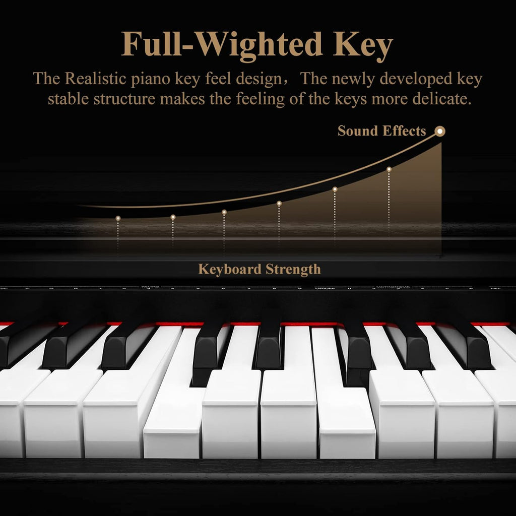 88-Key Digital Piano with Weighted Keys D532