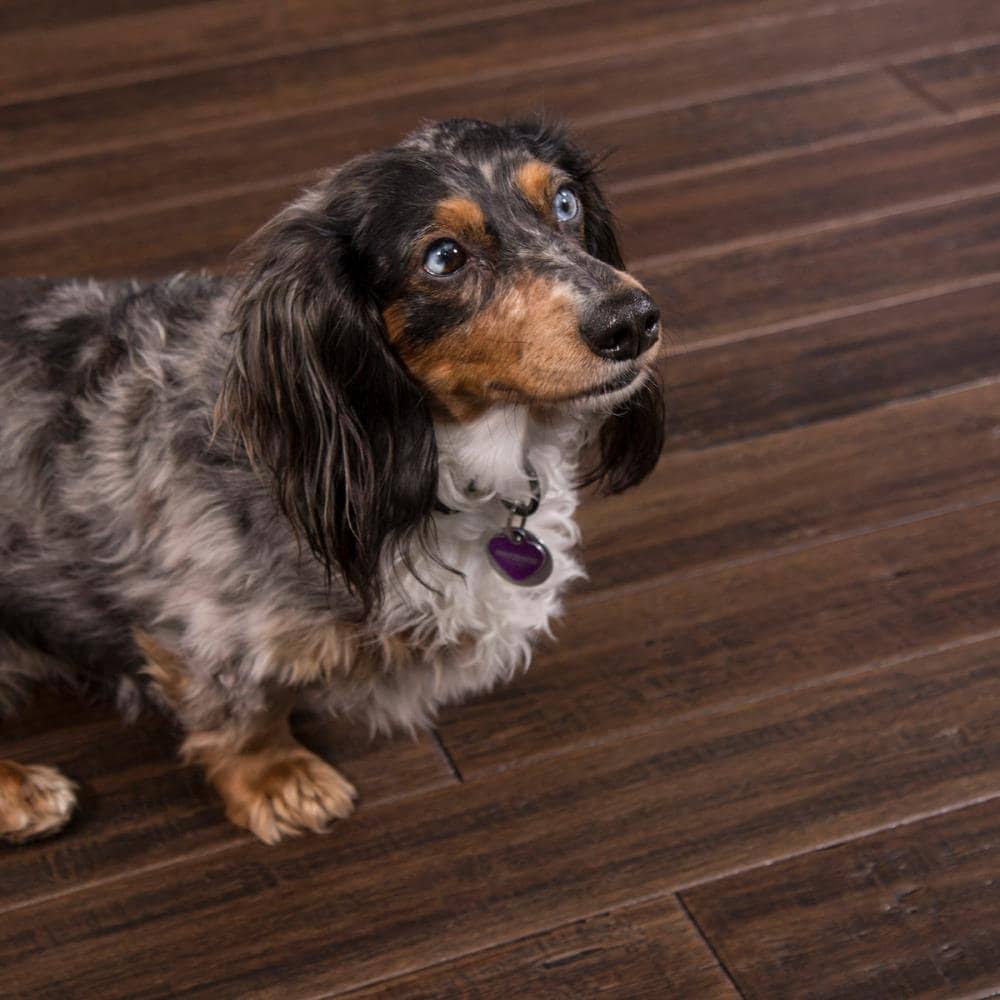 5.31-in Vintage Port Bamboo Handscraped Engineered Hardwood Flooring (21.5-Sq ft) Brown G175