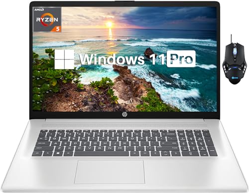 17.3" HD+ Display AMD Ryzen 5 7530U 64GB RAM 2TB SSD Laptop Q460715