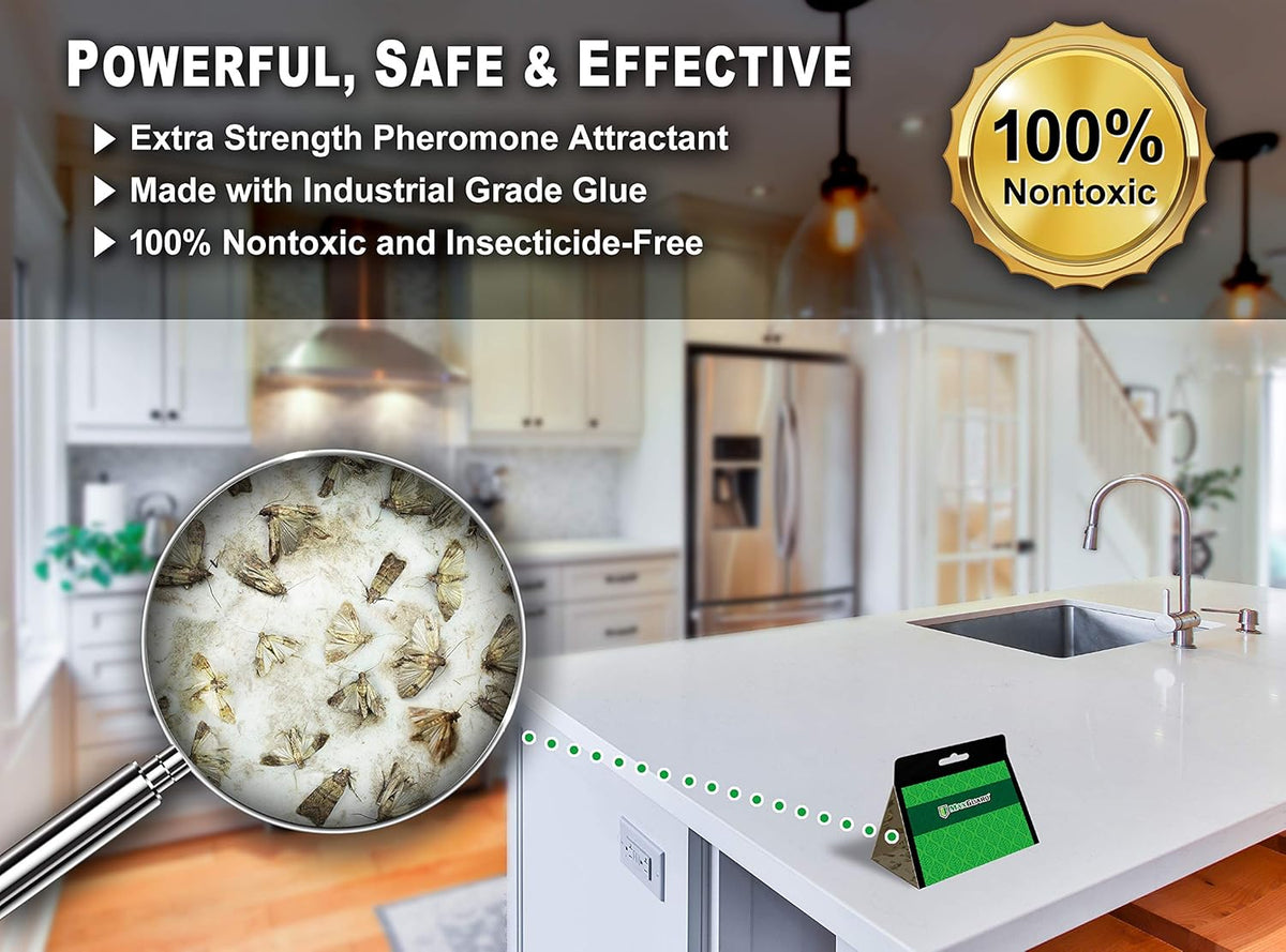 24 Pack Non-Toxic Sticky Glue Trap L322986