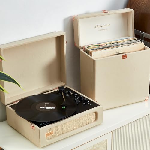 Vinyl Record Storage and Carrying Case, Holds 30 Albums C155888