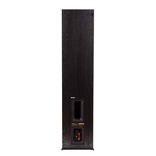 Ebony Floorstanding Speaker I151801