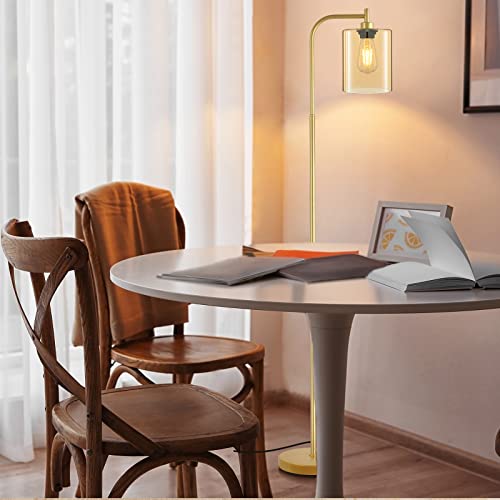 Industrial Floor Lamp with Iron Mesh Glass Lampshade Y9420