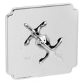 Satin Gold Balanced Pressure Shower Trim Plate with Lever Handle C532