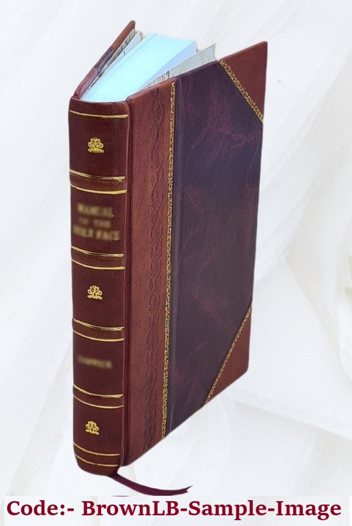 The Autobiography of a Super-tramp T4898
